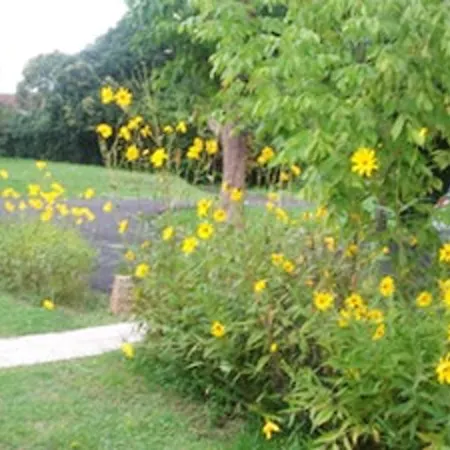 Maison D'une Avec Jardin Clos Et Wifi A Casa de Férias *